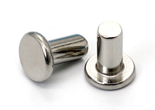 Flat head rivets 