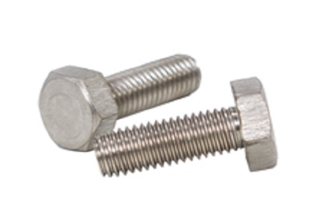 Ti Alloy Hex Screw