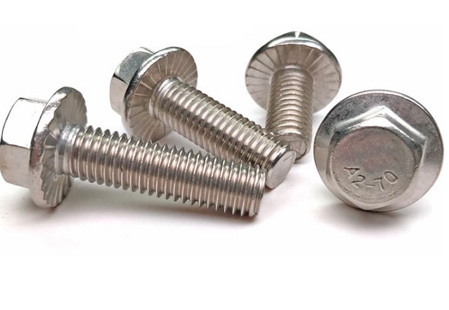 Hexagon flange bolts/Frame Bolts